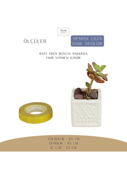 Dekoratif Saksı Minik Kaktüs Saksısı Mini Kare Model