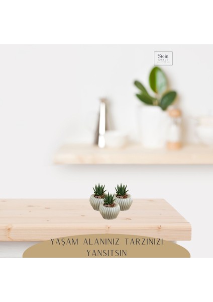 Dekoratif Saksı Minik Kaktüs Saksısı Derin Çizgili Spiral Model modelleri