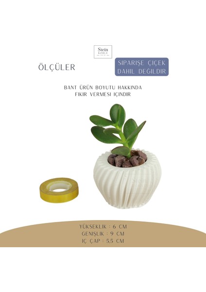 Dekoratif Saksı Minik Kaktüs Saksısı Derin Çizgili Spiral Model fiyatları