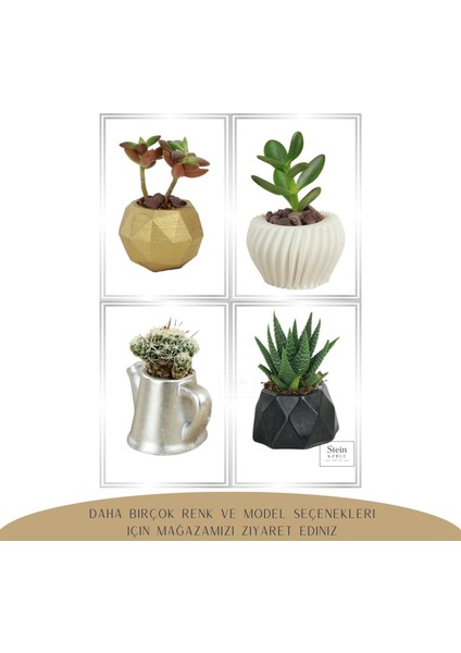 Dekoratif Saksı Minik Kaktüs Saksısı Derin Çizgili Spiral Model fırsatları