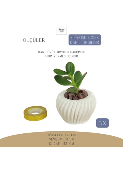 Dekoratif Saksı Minik Kaktüs Saksısı Derin Çizgili Spiral Model