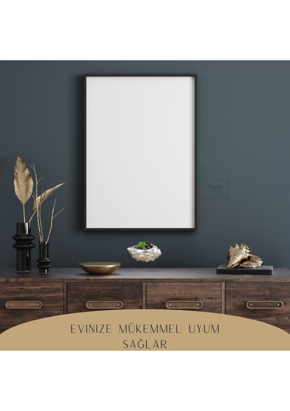 Dekoratif Saksı Minik Kaktüs Saksısı Deniz Kabuğu Model