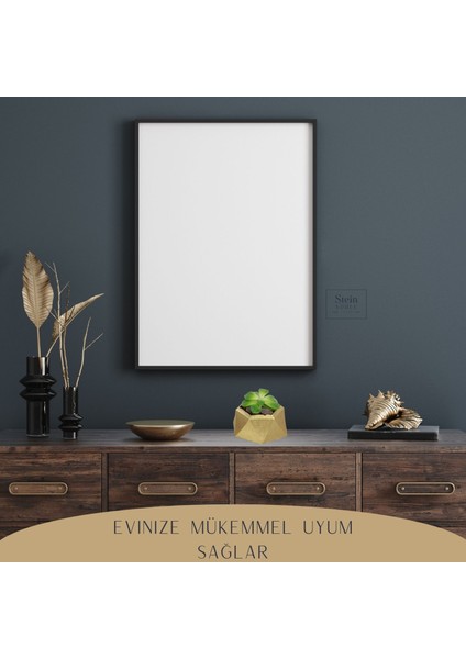 Dekoratif Saksı Minik Kaktüs Saksısı Mini Poly 2 Model