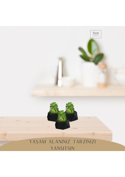 Dekoratif Saksı Minik Kaktüs Saksısı Mini Poly 2 Model