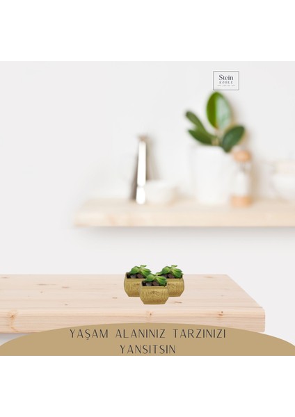 Dekoratif Saksı Minik Kaktüs Saksısı Mini Çizgili Çiçekli Model