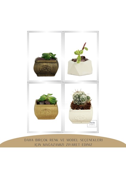 Dekoratif Saksı Minik Kaktüs Saksısı Mini Çizgili Çiçekli Model
