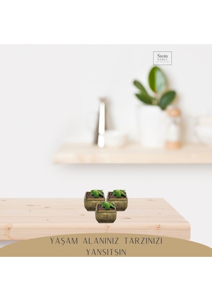 Dekoratif Saksı Minik Kaktüs Saksısı Mini Çizgili Çiçekli Model