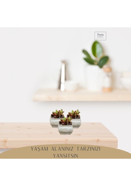 Dekoratif Saksı Minik Kaktüs Saksısı Mini Çizgili Çiçekli Model