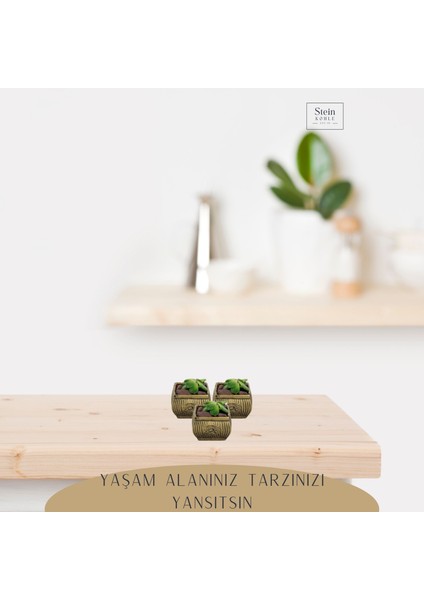 Dekoratif Saksı Minik Kaktüs Saksısı Mini Çizgili Çiçekli Model modelleri