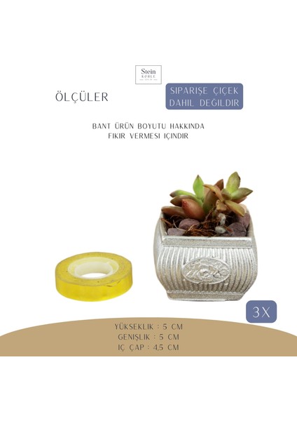 Dekoratif Saksı Minik Kaktüs Saksısı Mini Çizgili Çiçekli Model