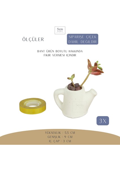 Dekoratif Saksı Minik Kaktüs Saksısı Mini Çaydanlık Model