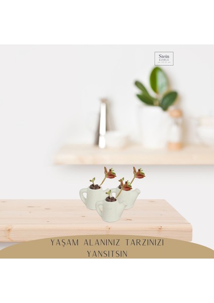 Dekoratif Saksı Minik Kaktüs Saksısı Mini Çaydanlık Model