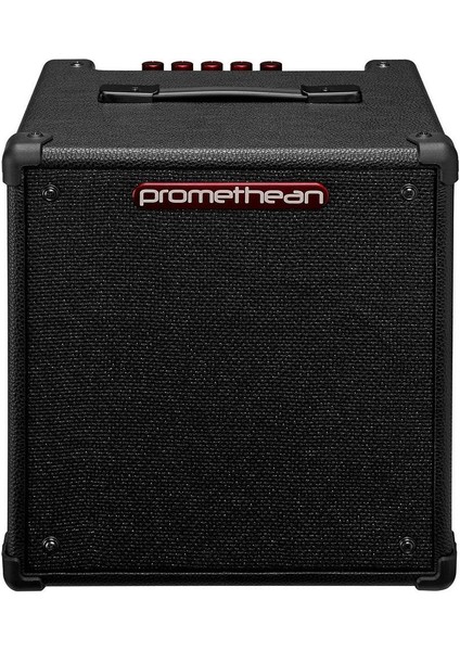 P20-U 20W Kombo Bas Gitar Amfisi