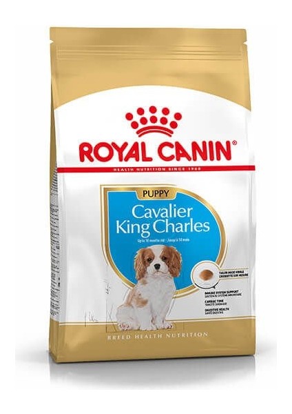 Cavalier King Charles Junior Yavru Köpek Maması 1,5 kg