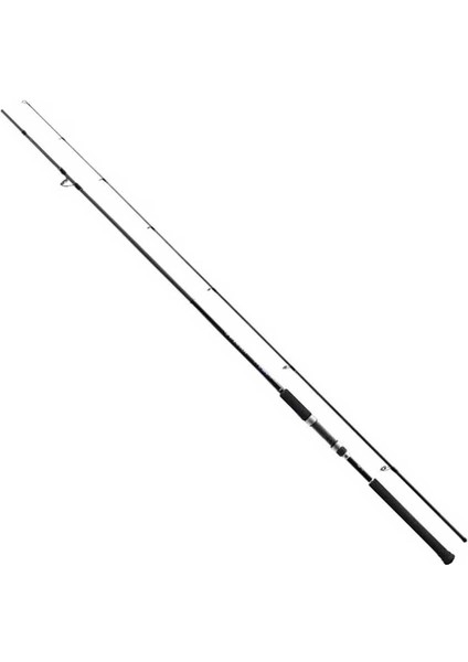 Salty Advance 305 cm Max. 80 gr Shore Jig Kamışı