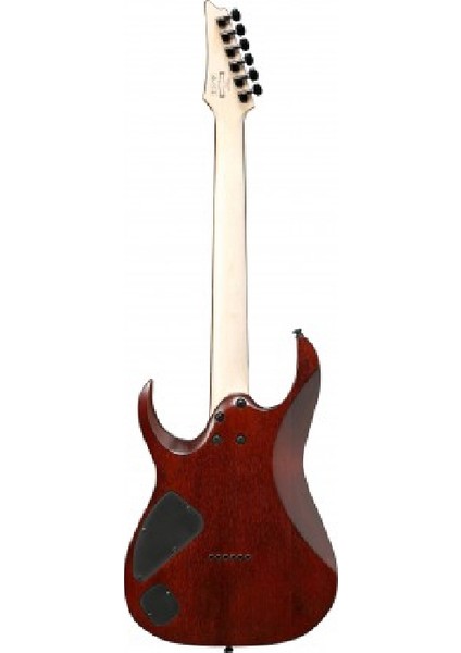 RGA42FM-DEF Rga Dragon Eye Burst Elektro Gitar fiyatları