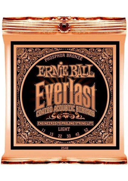 P02548 Everlast Akustik Gitar Teli (Light)