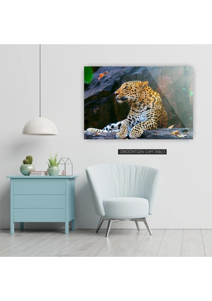 Leopar Resmi Cam Tablo