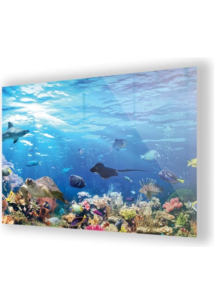 Deniz Canlıları Cam Tablo fiyatları