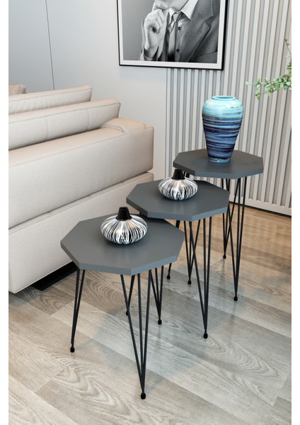3'lü Zigon Sehpa Sekizgen Model Zigon Sehpa Metal Tel Ayak