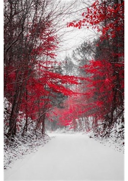 Ormandaki Kırmızı Çiçekli Ağaçlar Pixart Sanat Elmas Mozaik Tablo Diamond Türkiye 38*58