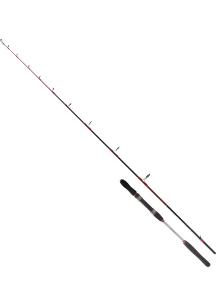 Ryuji Searider 1.80M 60-180GR 2p Jig Kamış