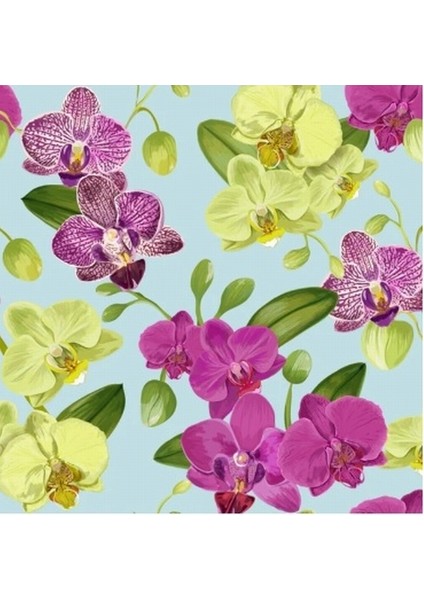 100'lü 10 Farklı Renk Karışık Phalaenopsis Orchid Çiçeği Tohumu + 10'lu Kırmızı Lale Toh