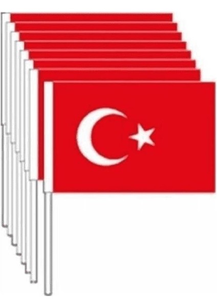 Eren Sopalı Bayrak 100'LÜ Küçük