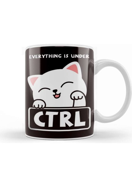 Funny Cat Programmer Developer Coder Computer Science Nerd Kupa Bardak Porselen