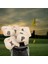 10PACK Universal Golf Demir Headcover, 4-9, P, S, A, x Demir Kulübü Beyaz Koruma (Yurt Dışından) 5