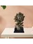 Modern 3D Lion Heykel Figürin Ev Ofis Raf Feng Shui Kitaplık Dekor Bakır Renk (Yurt Dışından) 5