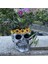 Kafatası Flowerpot Reçine Artware Succulents Ekici Pot Home Cadılar Bayramı Güneş Çiçeği (Yurt Dışından) 4
