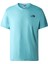 M S/s Redbox Celebratıon Tee Erkek T-Shirt NF0A7X1KIWO1 1