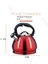3.4l Paslanmaz Çelik Demlik (Yurt Dışından) 2