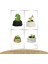 Dekoratif Saksı Minik Kaktüs Saksısı Mini Poly 2 Model 4