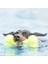 Köpek Air Sq Sesli Oyuncak Kemik S11,5CM 1