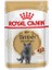 British Shorthair Adult Pouch Kedi Maması 85 gr 1