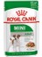Adult Mini Gravy Pouch Köpek Maması 85 gr 1