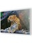 Leopar Resmi Cam Tablo 2