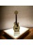 Akustik Gitar Biblo 1