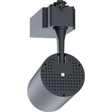 TekwaT Siyah Kasa Led Ray Spot 35 Watt