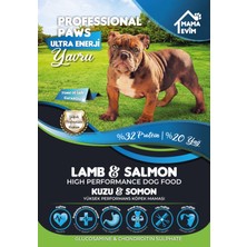 Professional Paws Ultra Enerji Kuzulu & Somonlu Yavru Köpek Maması 15KG