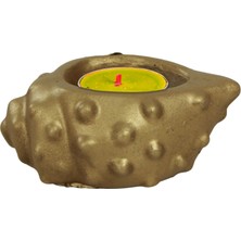 Evene Mumluk Şamdan Tealight Mum Uyumlu Deniz Kabuğu Model