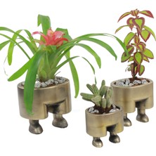 Evene Saksı Çiçek Kaktüs Saksısı Lüx 13 cm Pantolon Desenli 3'lü Set Çiçeklik