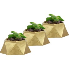Evene Mini Çiçek Saksı Küçük Sukulent Kaktüs Saksısı 3'lü Set Mini Poly 2
