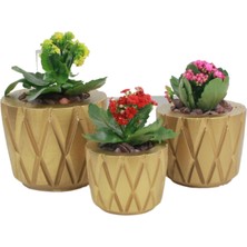 Evene Saksı Çiçek Kaktüs Saksısı Lüx 15 cm Baklava Desenli 3'lü Set Çiçeklik