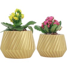 Evene Saksı Çiçek Kaktüs Saksısı Lüx 15 cm Mekanik Dişli Desen Saksı 2li Çiçeklik