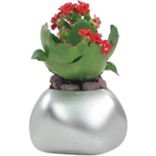 Evene Saksı Çiçek Kaktüs Saksısı Lüx 9 cm Elips Desen Saksı Çiçeklik