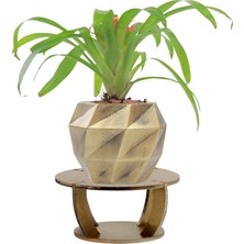 Evene Ahşap Ayaklı Beton Saksı Büyük Boy 1 Adet Dönen Poly Model