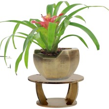 Evene Ahşap Ayaklı Beton Saksı Büyük Boy 1 Adet Önü Açık